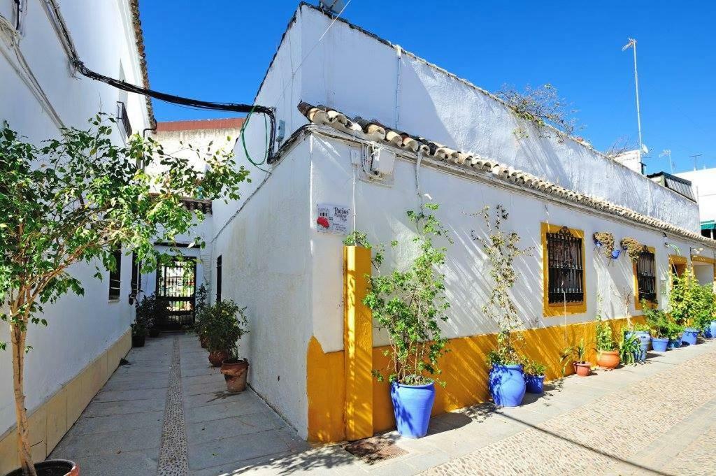 Hotel De Patios Córdoba Exterior foto